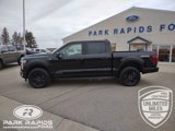 New 2025 Ford F150 Platinum w/ Equipment Group 702A High image 2