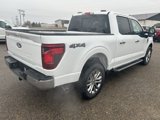 New 2025 Ford F150 XLT w/ Equipment Group 303A High image 5
