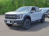 New 2025 Ford F150 Raptor image 2