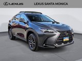 Used 2025 Lexus NX 350h AWD w/ Premium Package image 3