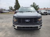 New 2025 Ford F150 XL w/ Equipment Group 103A High image 2
