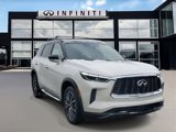 New 2025 INFINITI QX60 Autograph w/ Cargo Package image 3