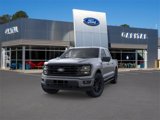 New 2025 Ford F150 XLT image 2