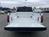 New 2025 Ford F150 XLT w/ Equipment Group 302A MID image 5
