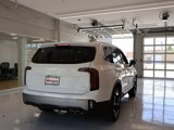New 2025 Kia Telluride EX image 4