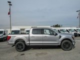 New 2025 Ford F150 Platinum w/ Equipment Group 702A High image 2