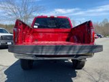 New 2025 Ford F150 Lariat w/ Equipment Group 501A Mid image 5