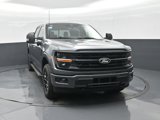 New 2025 Ford F150 XLT image 3
