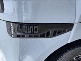 New 2025 Ford F250 Platinum image 4