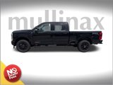 New 2026 Ford F250 Lariat w/ Black Appearance Package image 2