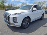 New 2025 Hyundai Palisade Calligraphy image 3