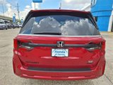 New 2026 Honda Odyssey Sport-L image 4