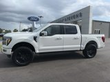New 2025 Ford F150 Platinum image 3