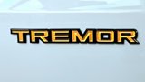New 2025 Ford Expedition Tremor image 5