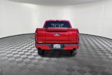 New 2025 Ford F150 Lariat w/ Equipment Group 502A High image 5