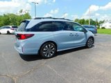 New 2026 Honda Odyssey Elite image 3
