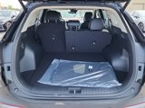 New 2026 Kia Sportage EX image 4