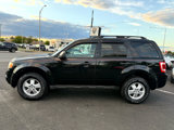 Used 2011 Ford Escape XLT w/ 201A Rapid Spec Order Code image 5