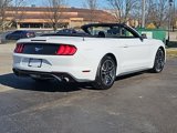 Used 2023 Ford Mustang Premium image 4