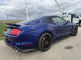 Used 2016 Ford Mustang Shelby GT350 w/ Track Package image 4