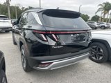New 2025 Hyundai Palisade Calligraphy image 5