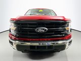New 2025 Ford F150 XLT w/ Equipment Group 303A High image 2
