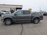 Used 2019 Ford F150 XLT w/ Equipment Group 302A Luxury image 5