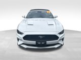 Used 2023 Ford Mustang Premium image 4