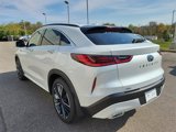 New 2025 INFINITI QX55 Sensory w/ Lighting Package image 3