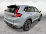 New 2026 Honda CR-V EX-L image 5