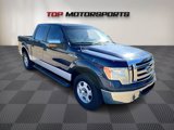 Used 2010 Ford F150 XLT image 2