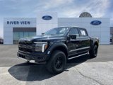 Used 2024 Ford F150 Raptor image 3