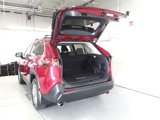 Used 2024 Toyota RAV4 XLE w/ Convenience Package image 5