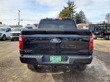 New 2025 Ford F150 STX w/ Equipment Group 200A image 5