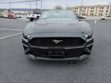 Certified 2023 Ford Mustang Premium image 4