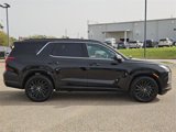 New 2025 Hyundai Palisade Calligraphy image 4