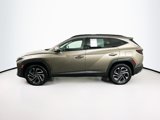 Certified 2025 Hyundai Tucson Limited image 4