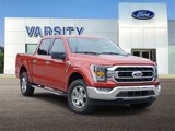 Certified 2023 Ford F150 XLT w/ Equipment Group 302A High image 1