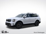 New 2025 Kia Telluride SX image 4
