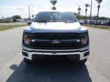 New 2025 Ford F150 XLT image 2