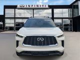 New 2025 INFINITI QX60 Autograph w/ Cargo Package image 2