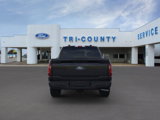 New 2025 Ford F150 STX w/ STX Black Appearance Package image 5