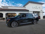 New 2025 Kia Carnival SX image 4