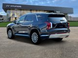 New 2025 Hyundai Palisade Calligraphy image 5