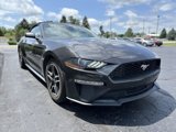 Used 2022 Ford Mustang Premium image 5