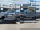 New 2025 Ford F350 XL image 2