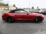 Used 2016 Ford Mustang Premium w/ Ecoboost Performance Package image 6
