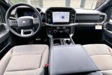 New 2025 Ford F150 XLT w/ Equipment Group 302A MID image 6