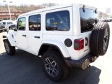 New 2025 Jeep Wrangler Sahara w/ Technology Group image 3