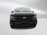 New 2025 Ford F150 XLT image 3